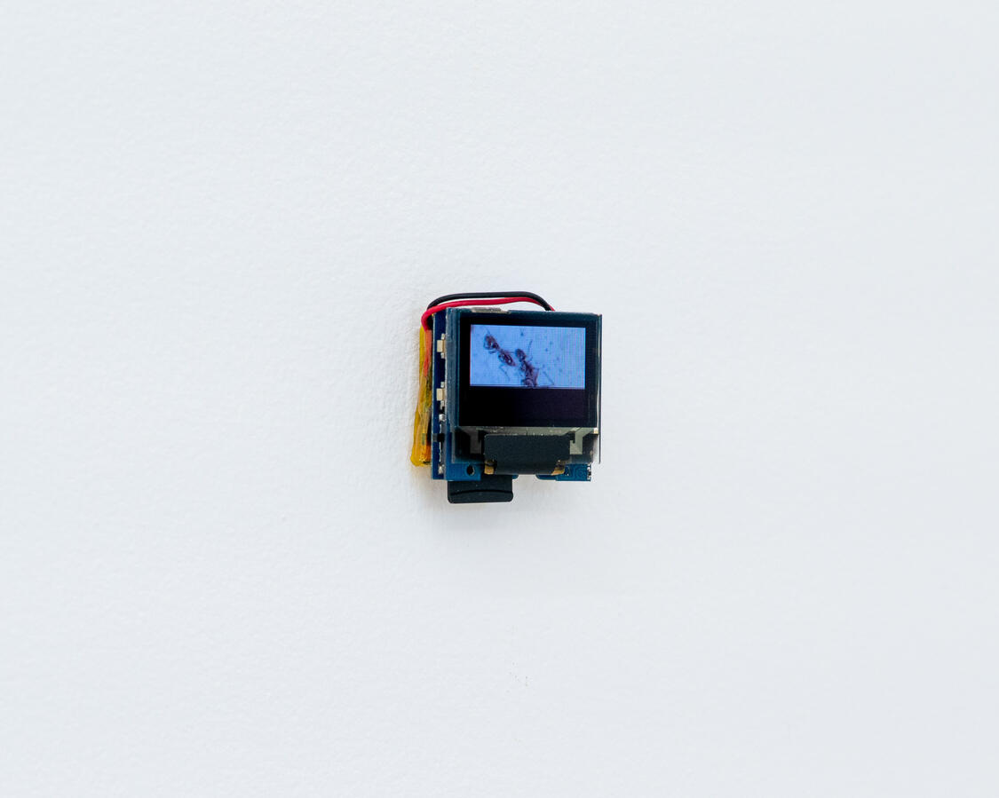 Untitled Untitled